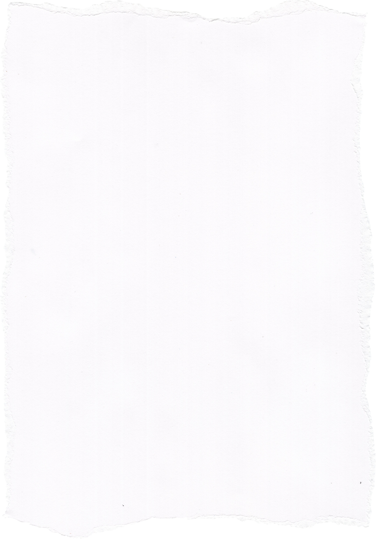 Torn white paper element