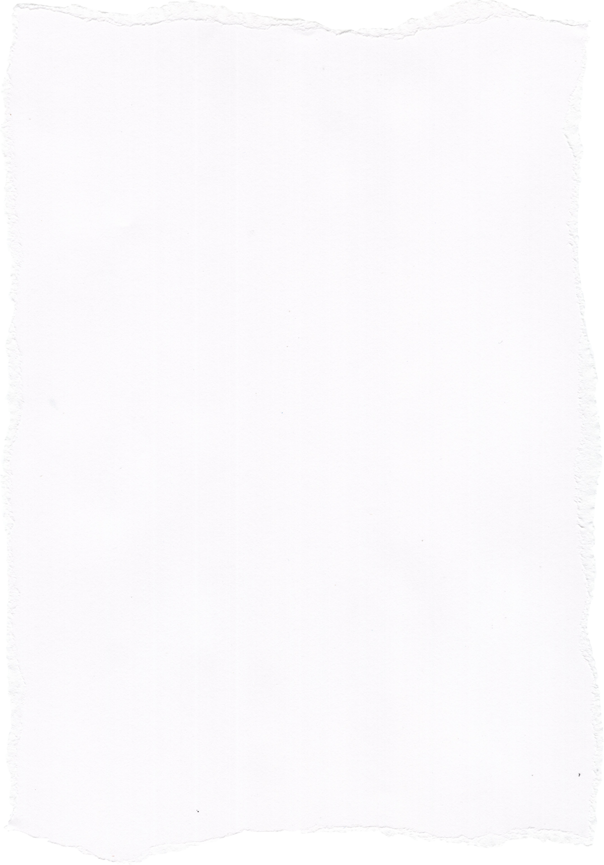 Torn white paper element